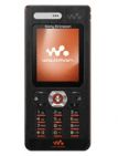 SONY ERICSSON W888
